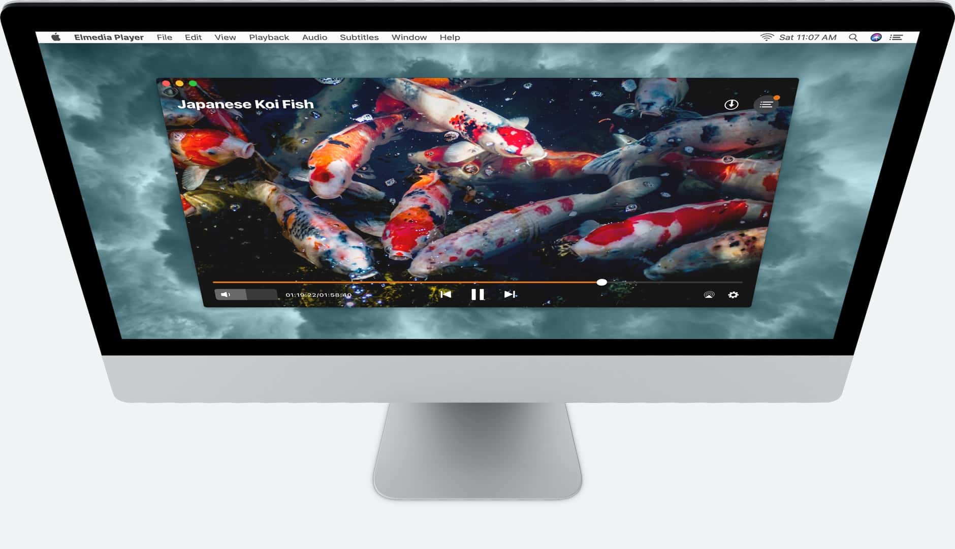universal video player for mac